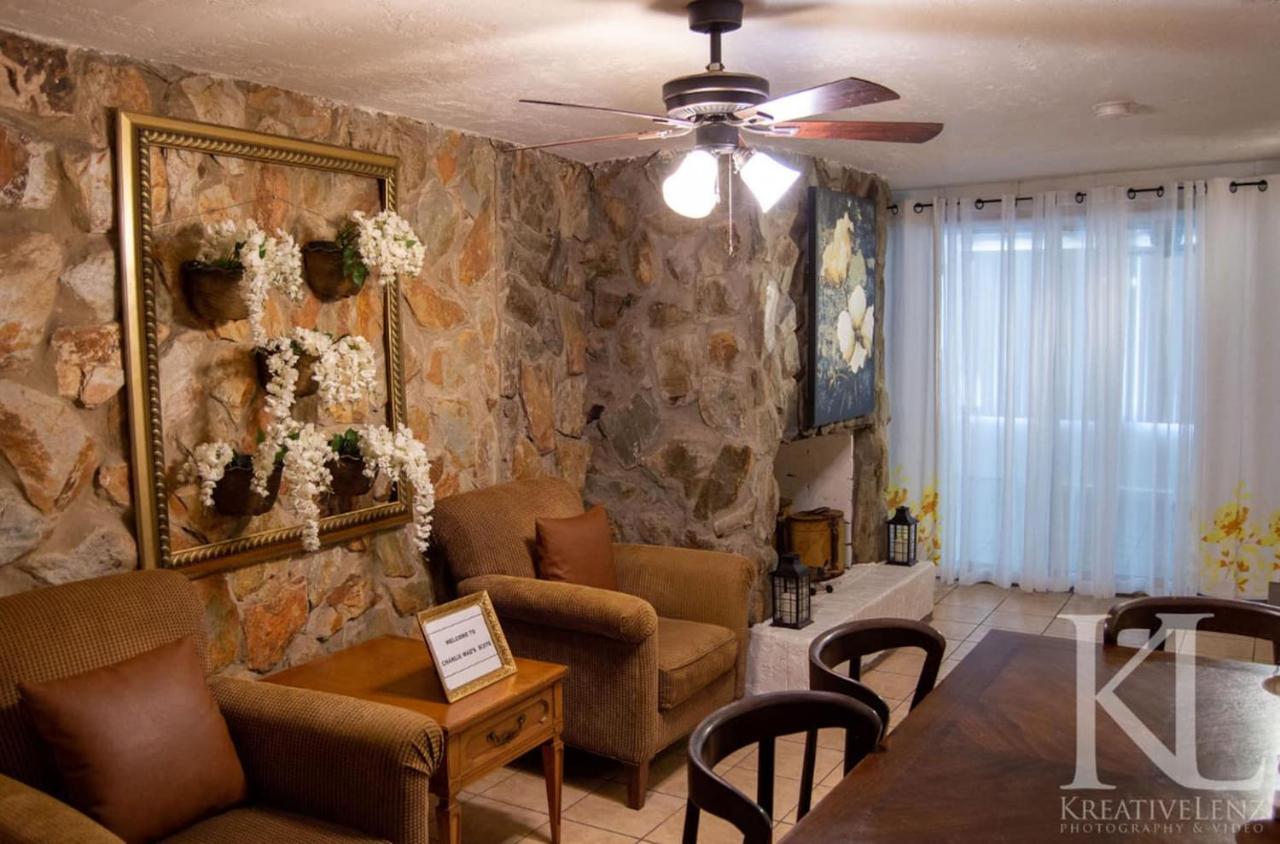 Traditional Cozy Historic Tampa Home Buitenkant foto